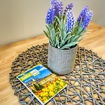 Apartment Lily's 2 By Bulgarentals - Sofia